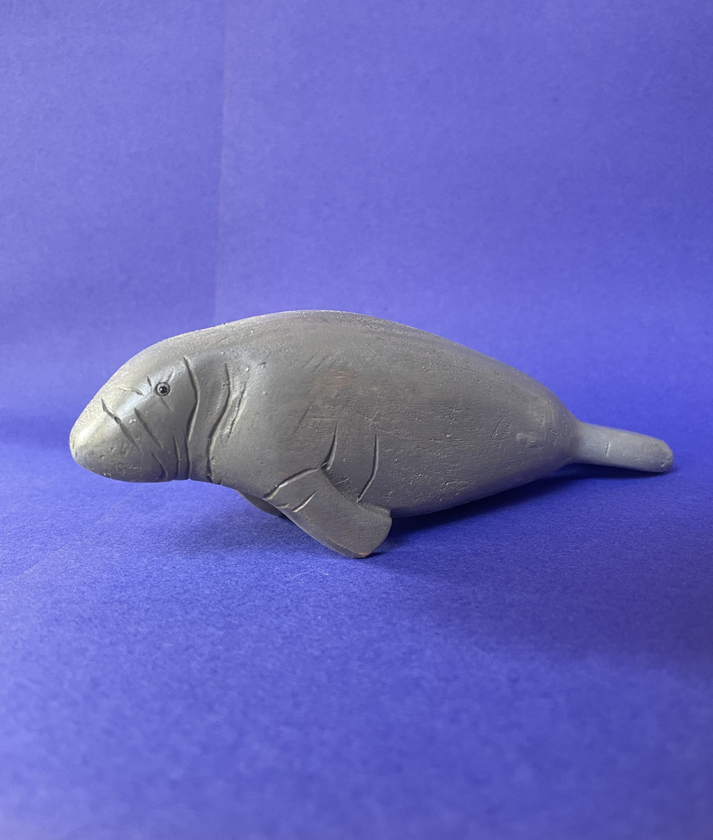 Manatee