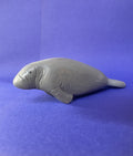 Manatee