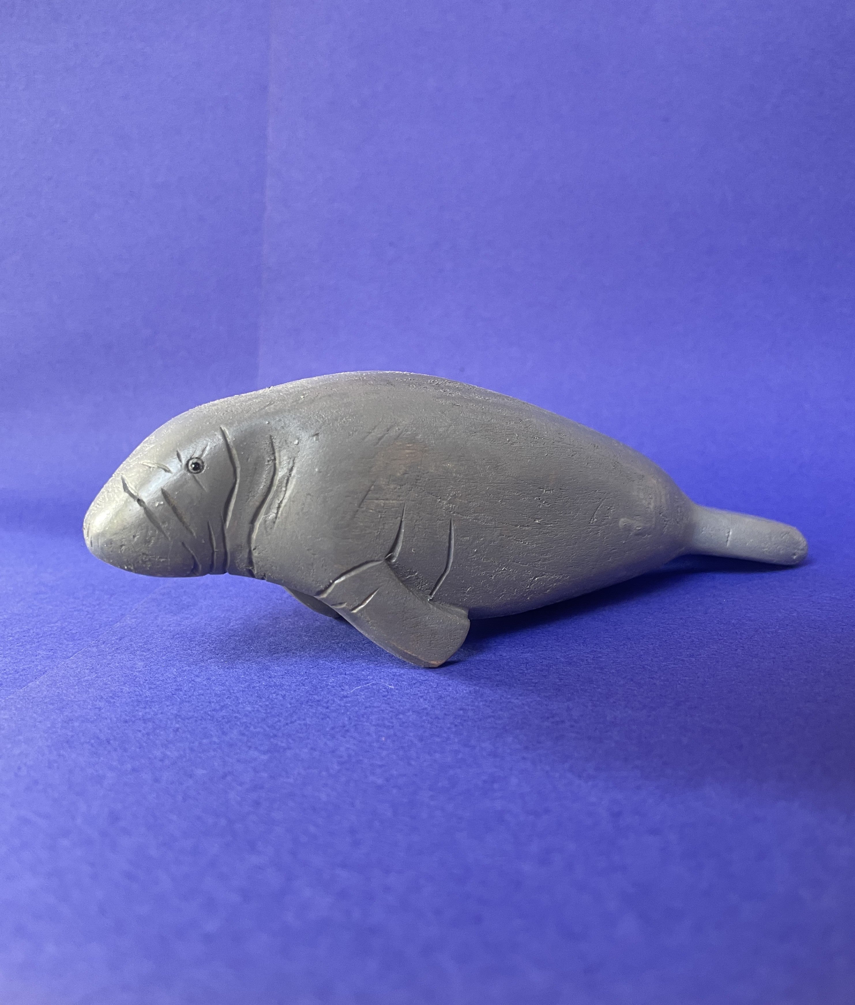 Manatee