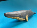 Minke whale