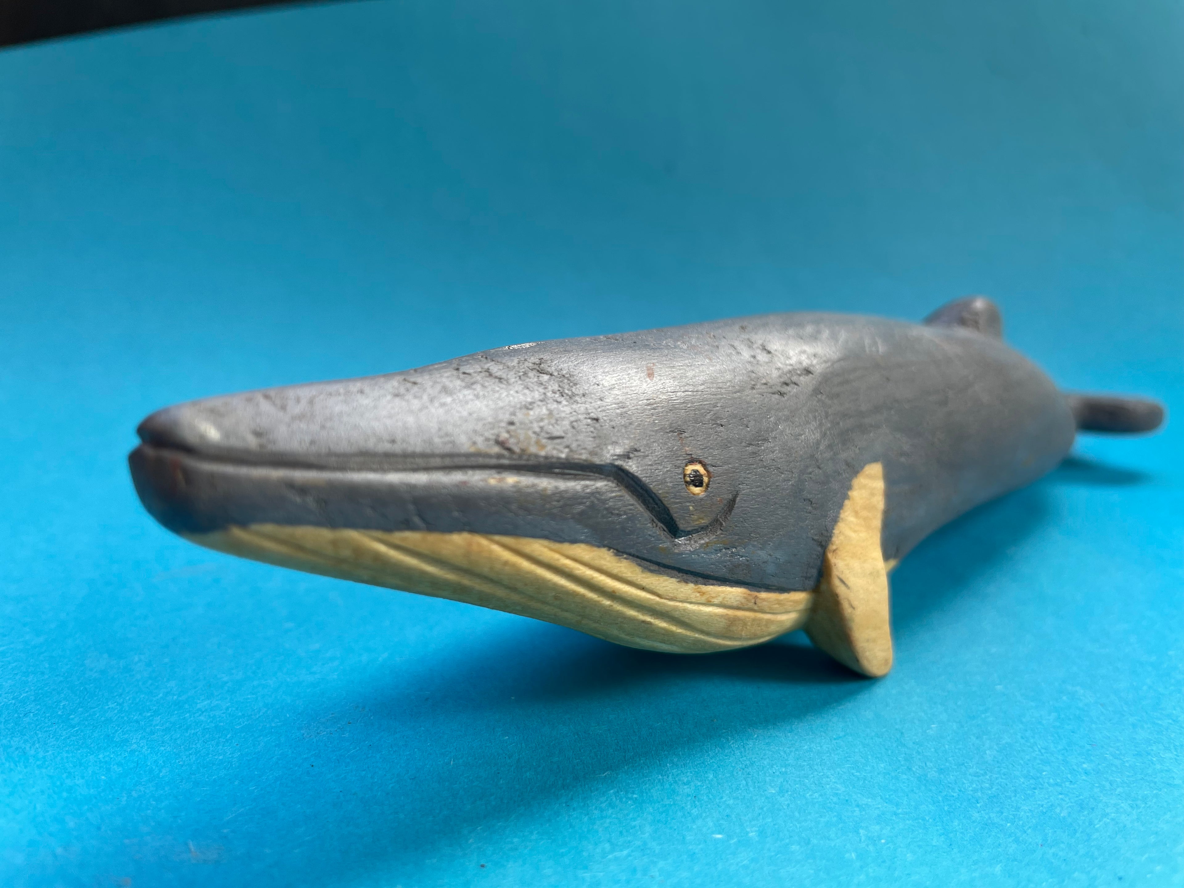 Minke whale