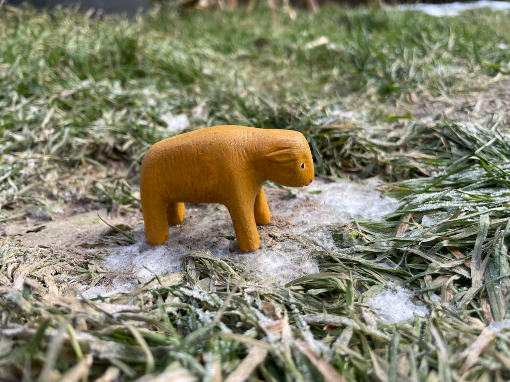 Bisonkalb