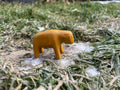 Bisonkalb