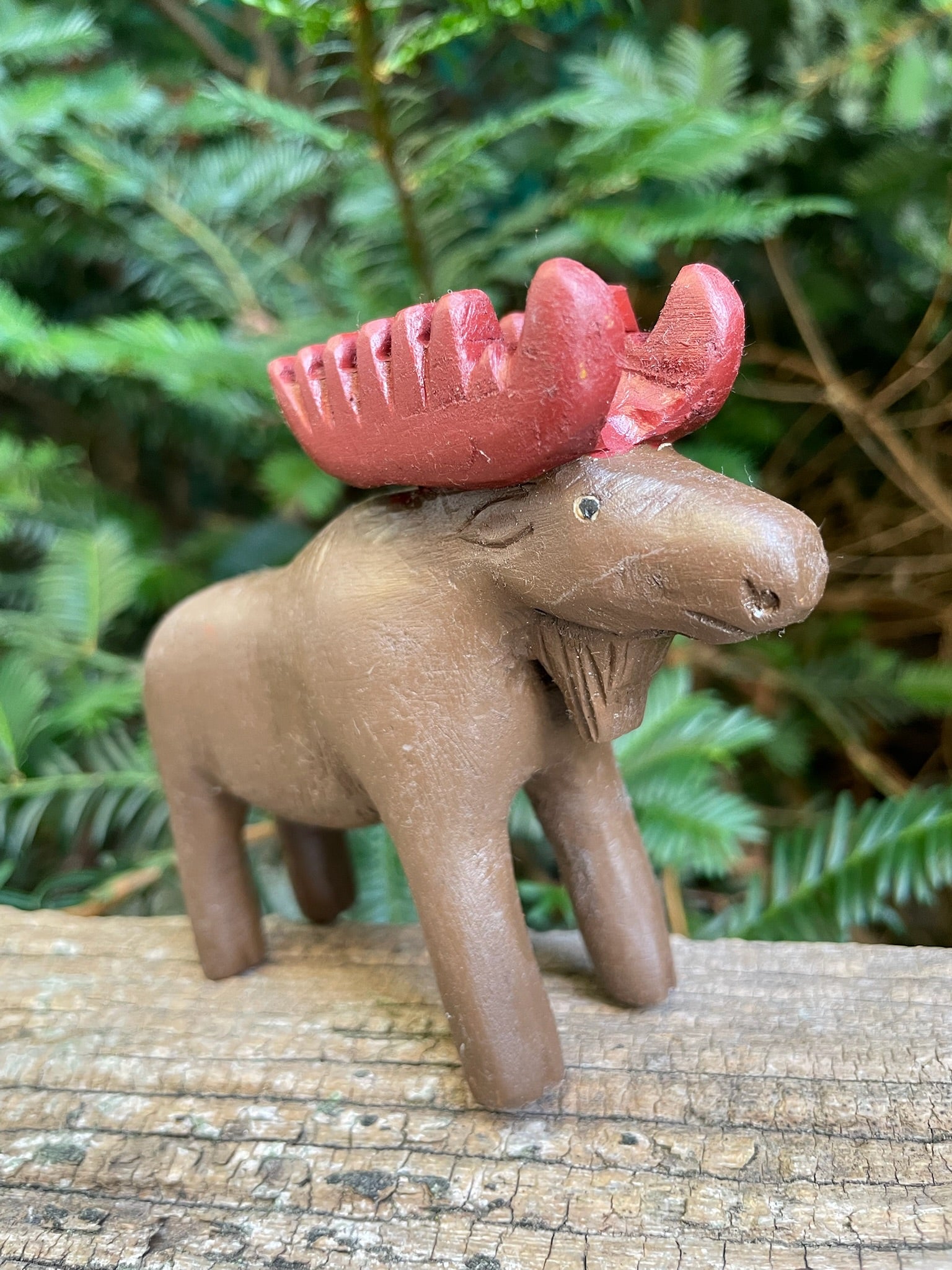 Moose