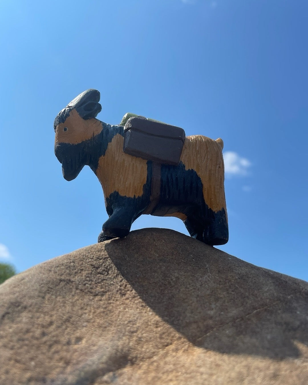 Pack goat