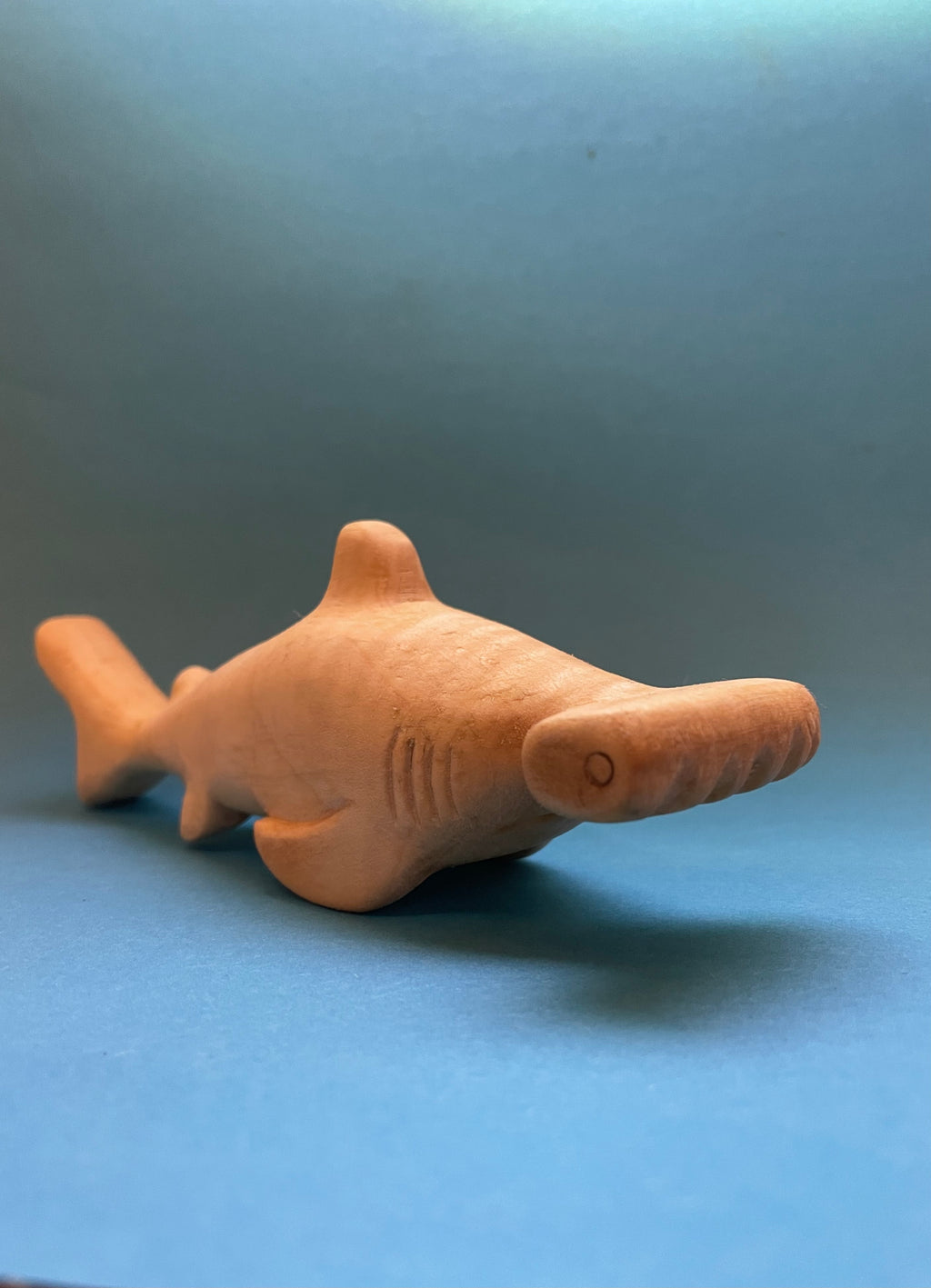 Hammerhai
