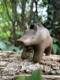 Wild Boar