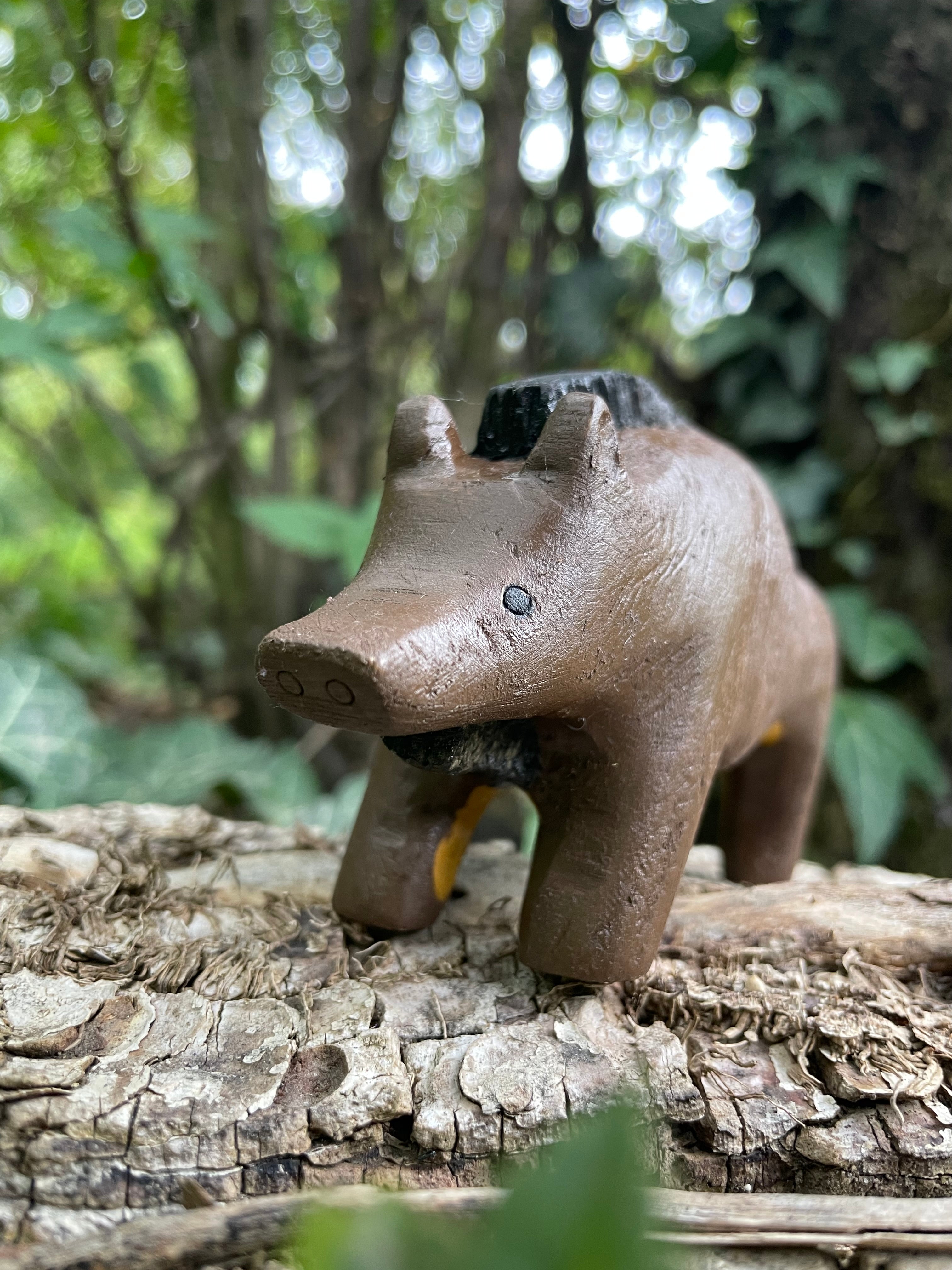 Wild Boar