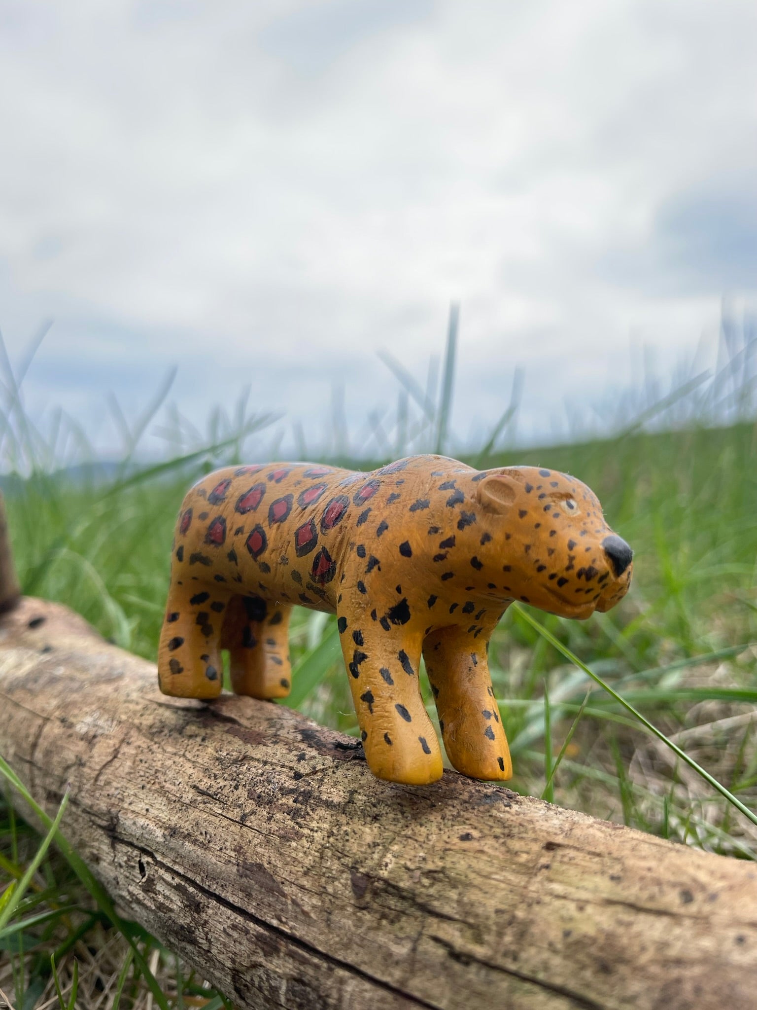 Leopard