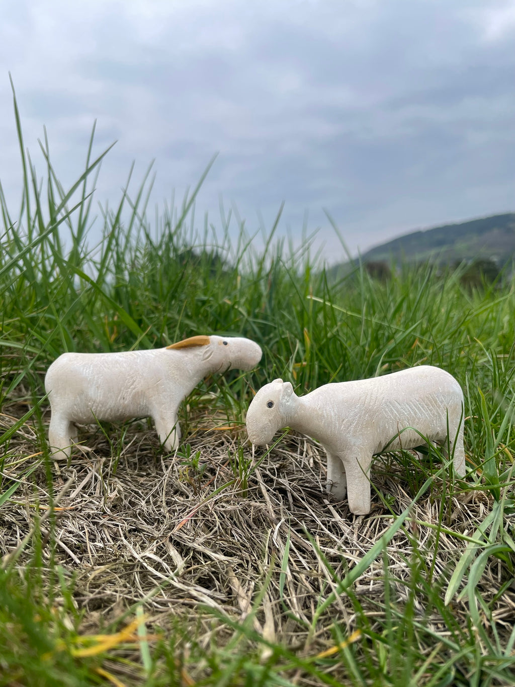 Saiga Antelopes