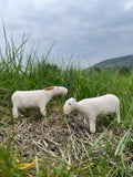 Saiga Antelopes