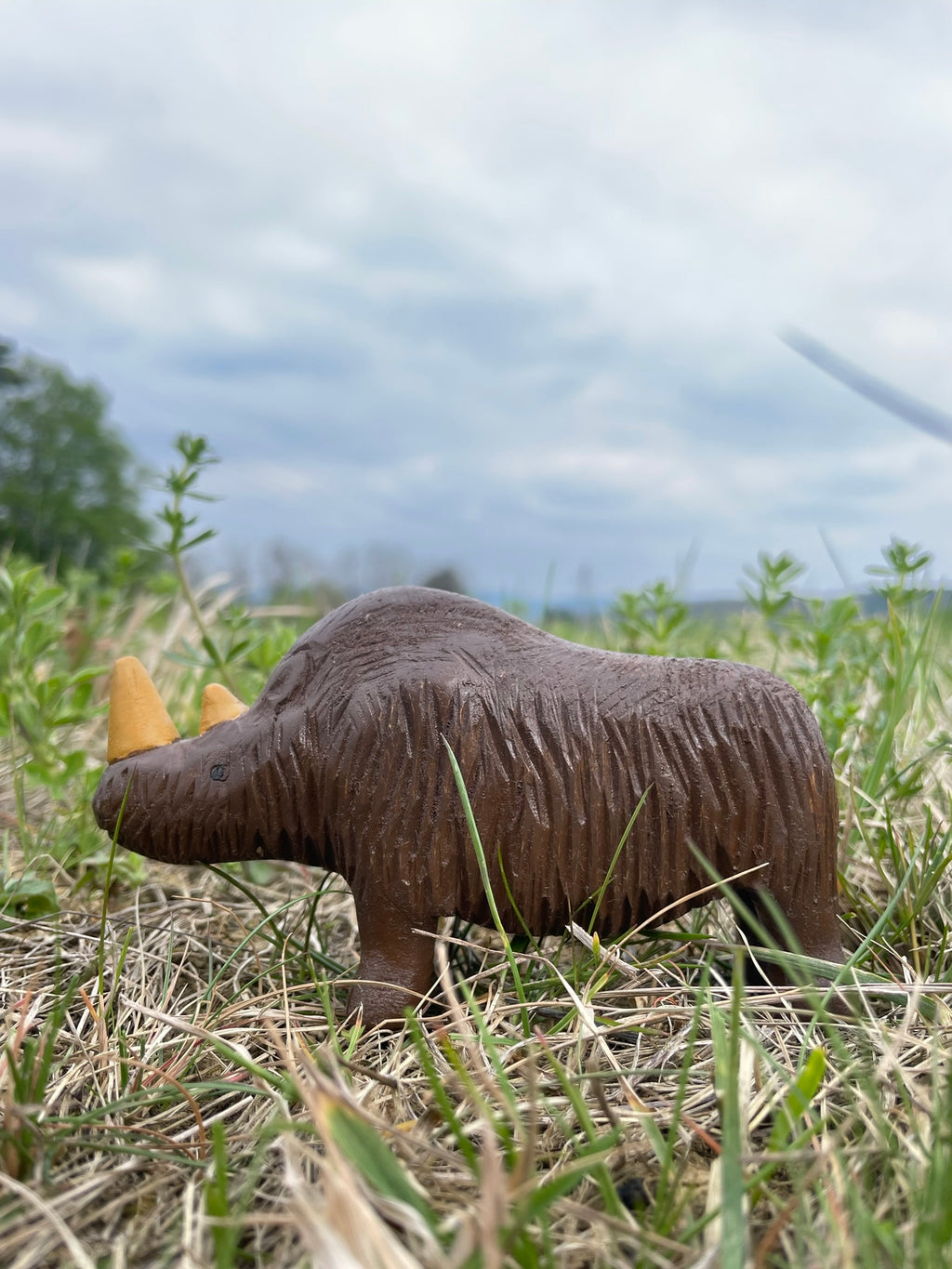 Wollnashorn