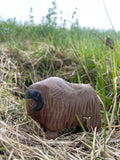 Muskox