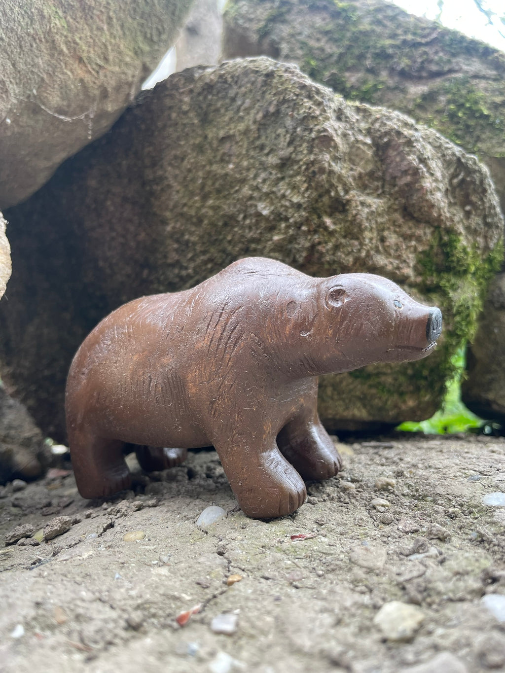 Cave bear