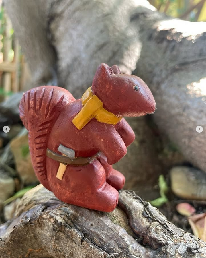 Squirrels