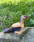 Archeopteryx
