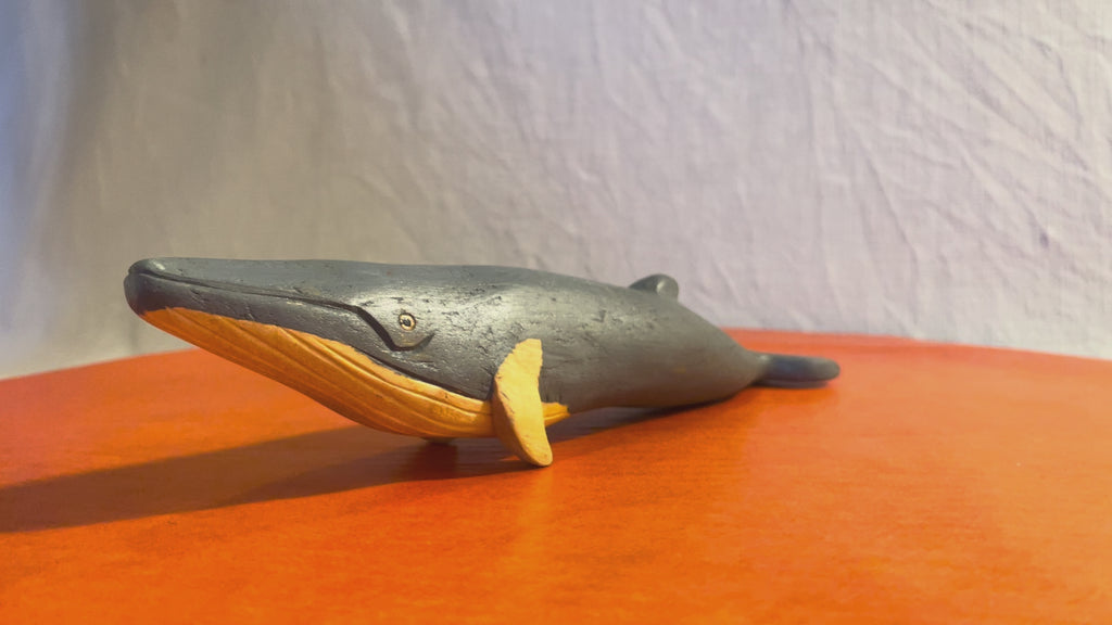 Minke whale