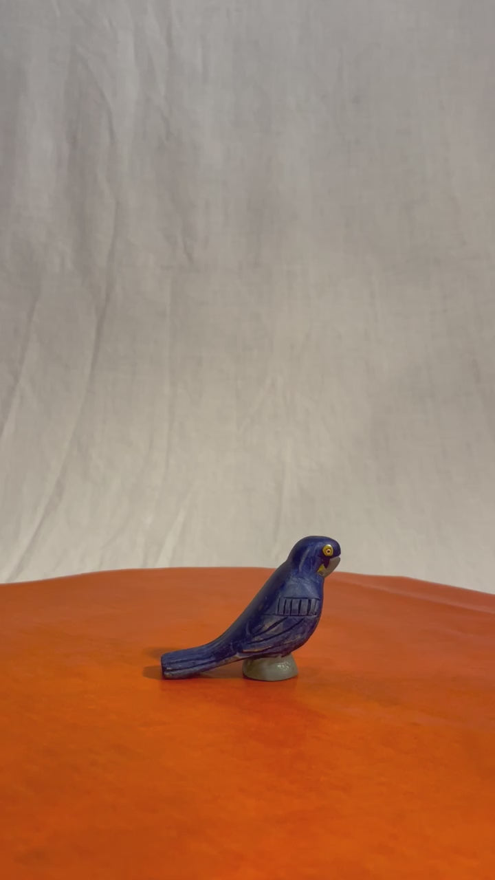 Hyacinth Macaw