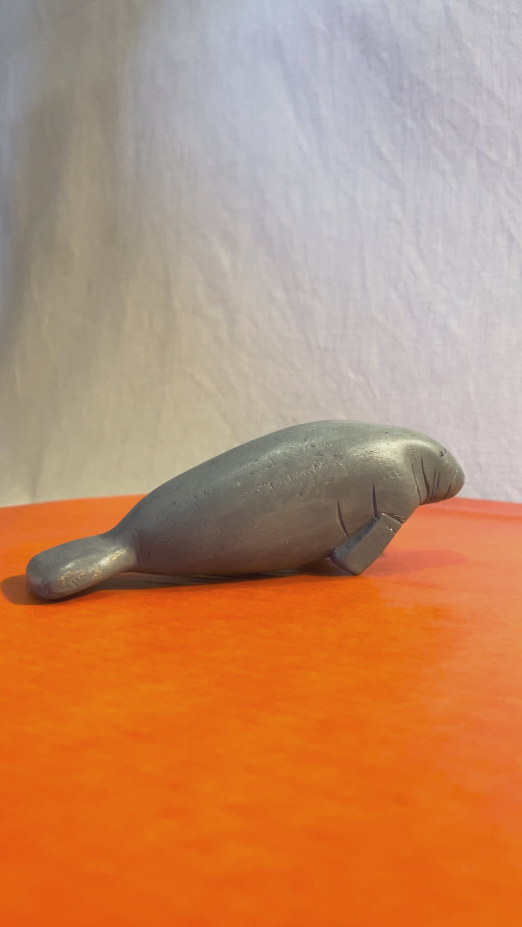 Manatee