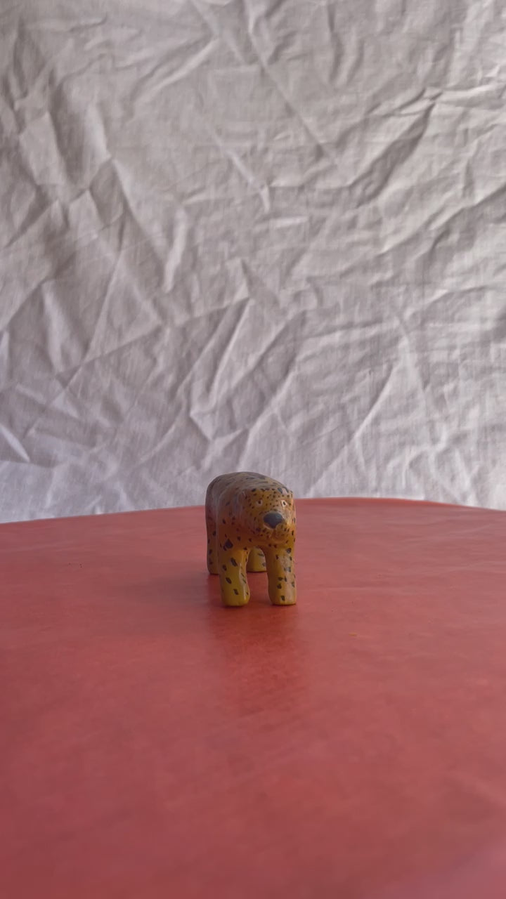 Leopard