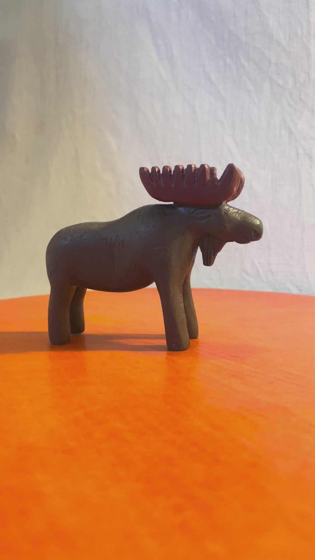 Moose