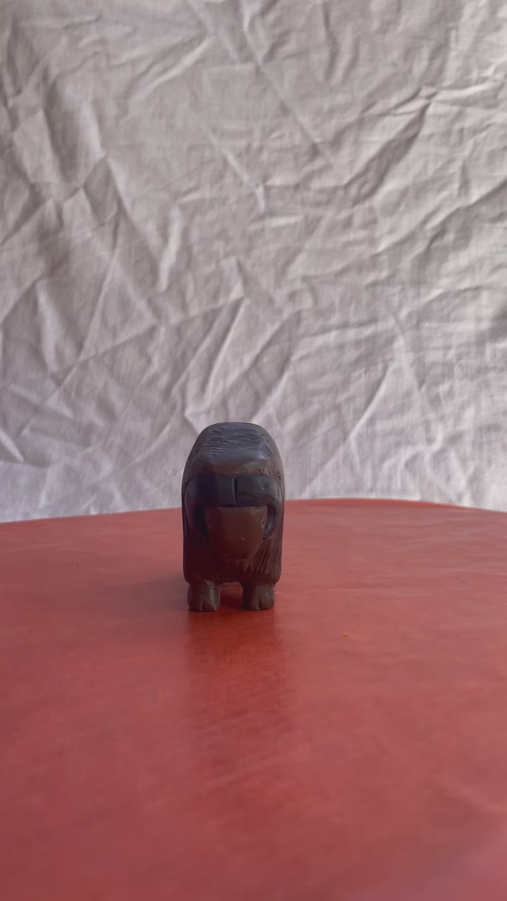 Muskox
