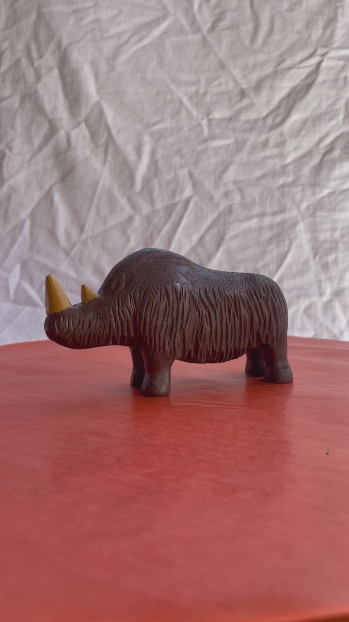 Wollnashorn